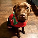 Avery Theodore Smith - @averytheodoresmith - Instagram