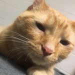 Theodore Avery Merritt - @theodoreavery2 - Instagram