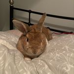Theodore&Avery - @theoandavery - Instagram