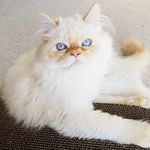 Theodore Bates Gonzalez - @teddy.bates.gonzalez - Instagram