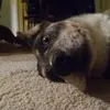 theodorespanbauer - @theodorespanbauer - TikTok
