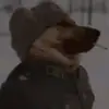 theodore - @theodore_himmelbaum - TikTok