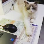 Theodore Bauman - @baumantheodore - Instagram