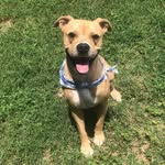 Theodore Bennett - @theo_bennett_matlock - Instagram