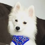 Theodore Bennett - @theodorable_bennett - Instagram
