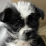 Theodore Bennett - @theodore.bennett1028 - Instagram