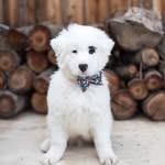 Theodore “Teddy” Bennett - @winking_ted - Instagram