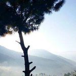 Theodore Bishop 170 - @latifeaksit_456865 - Instagram