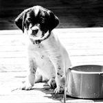 BlackAndWhite Theodore Black - @black_theodore - Instagram