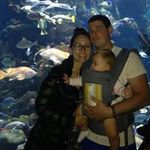 Theodore Bornstein - @theodorebornstein - Instagram