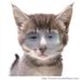 Theodore Burkett - Facebook