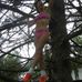 Theadora Cogdell - Facebook
