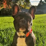 Stanley Theodore Cameron Cross - @stanstanthefrenchman - Instagram