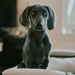 Theodore Cameron - @theobythefire - Instagram
