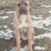 Theodore Casey - Facebook
