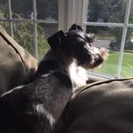 theodore grahm costa - @theodore_grahm - Instagram
