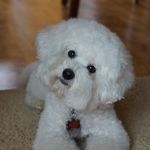 Murphy Theodore Cunningham - @murphytheodore13 - Instagram