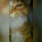 Theodore Cunningham - @thorcunningham - Instagram