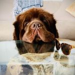 Theodore Roosevelt Cunningham of Delancy - @ted_of_delancy - Instagram