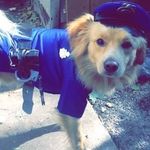 Deputy Theodore Dean - @deputytheodoredean - Instagram
