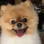 theodore arnold cosmo dickens - @thunderbuddyted - Instagram