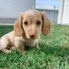 THEO 💛 - @theodore.doxie - TikTok