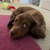 Theodore - @theodorethedoxie - TikTok