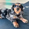 theodore 🩵 - @theodoredoxie - TikTok