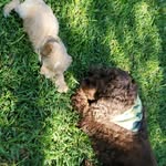 Theodore Scott & Tober Dixon - @adventures_of_theo_and_tober - Instagram