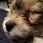 Theodore Doucette - @theo.dorable10 - Instagram