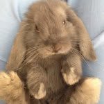 Duncan Theodore - @duncantheodorehanak - Instagram