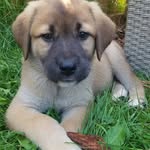@theodore_duncan_ - Instagram