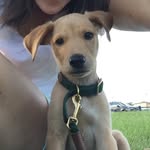 Theodore Ewing - @teddyewing - Instagram