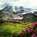 @theodoreewing41990 - Instagram