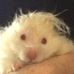 Theodore Flanders - Facebook