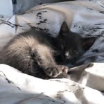 Theodore Richard - @theodore.richard.foster - Instagram