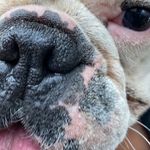 @theo_dore_fowler - Instagram