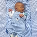 Teddy 🧸 - @theodoregordon_howell - Instagram