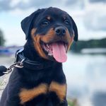 Theodore Graham - @teddygrahamcracka - Instagram