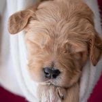 Theodore Graham - @mr.teddy.graham - Instagram