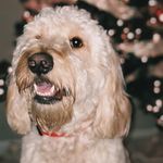 Theodore Graham - @tedd.graham - Instagram