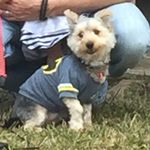 Theodore Graham Scruggs - @teddythesphinx - Instagram