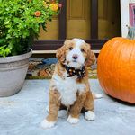 Theodore Graham Shelton - @teddygram721 - Instagram
