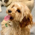 Theodore "Teddy" Graham - @teddzolorenzo - Instagram