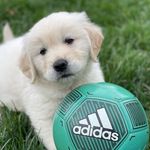 Theodore “Teddy” Graham - @teddygraham4 - Instagram