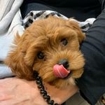 Theodore “Teddy” Graham - @theodore__graham - Instagram