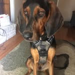 Theodore Roofsevelt Granger - @theo_roofs - Instagram
