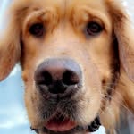 Theodore Grant - @theodoreable.grant - Instagram