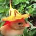Theodore Hyre - Facebook