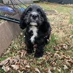 Theodore Avett Hartman - @teddisons_pictures09 - Instagram